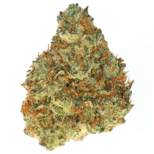 RAINBOW SHERBERT